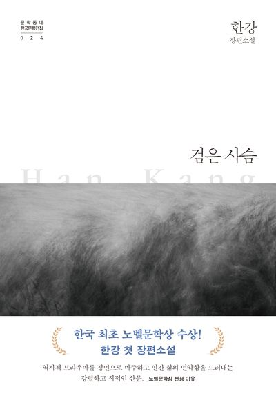 검은 사슴 (1998) - 한강
